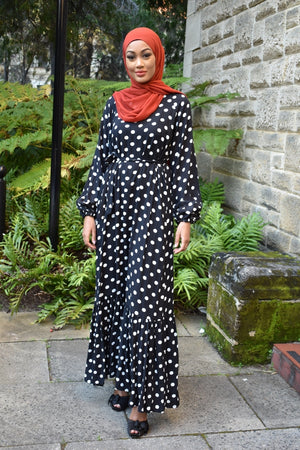ZARA Polka Dot Dress
